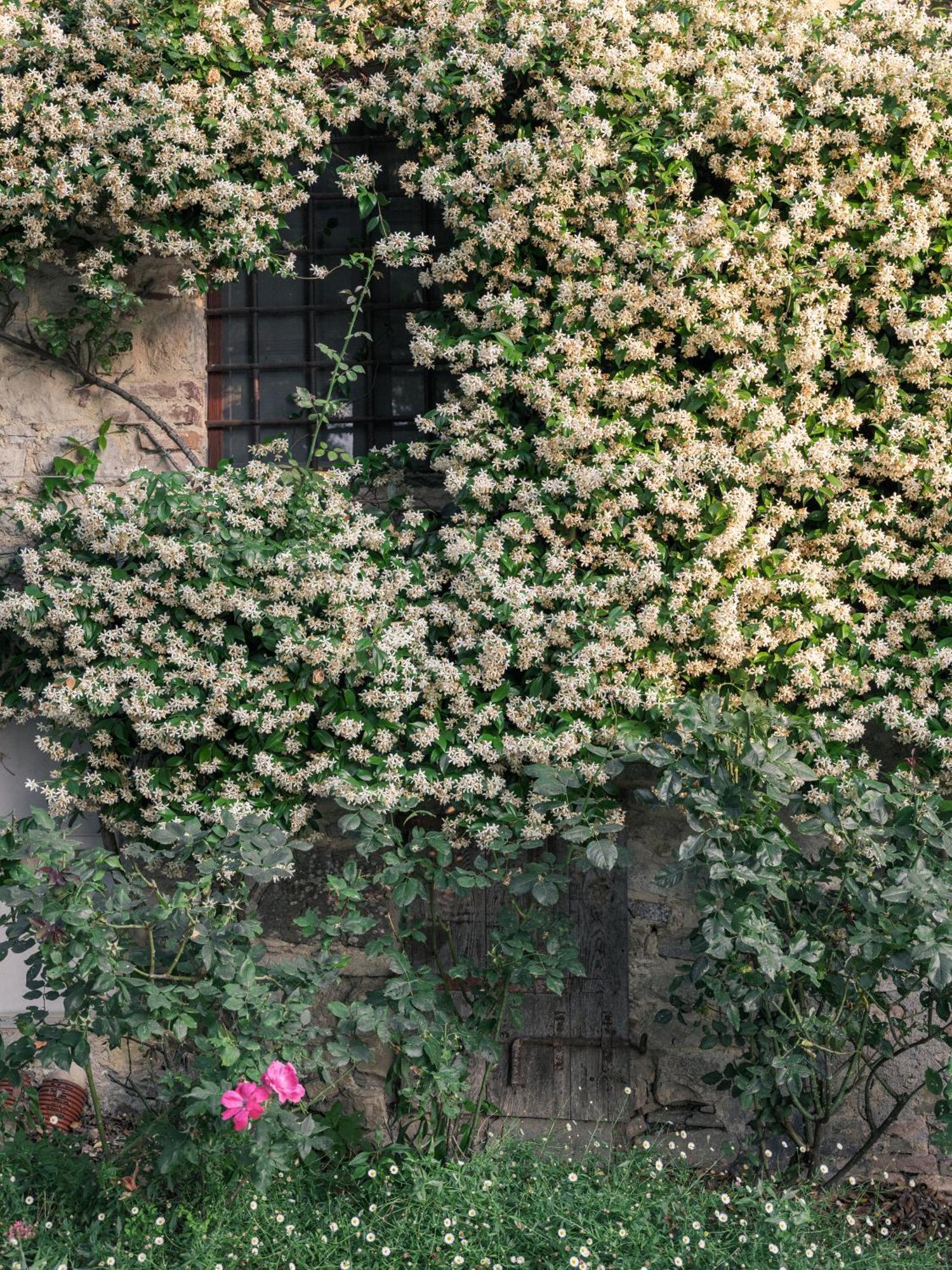 Penzion Pieve Marsina & Borgo Argenina Monti di Sotto Exteriér fotografie