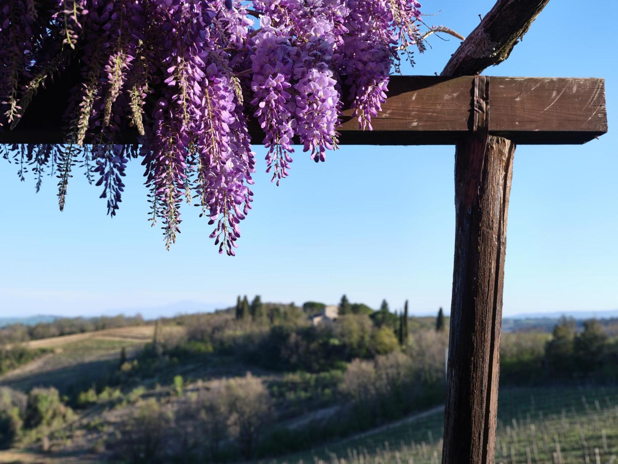 Penzion Pieve Marsina & Borgo Argenina Monti di Sotto Exteriér fotografie